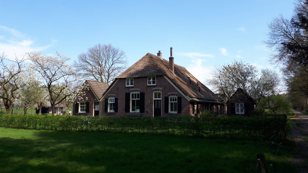 Dakrenovatie en herindeling boerderij, Lettele